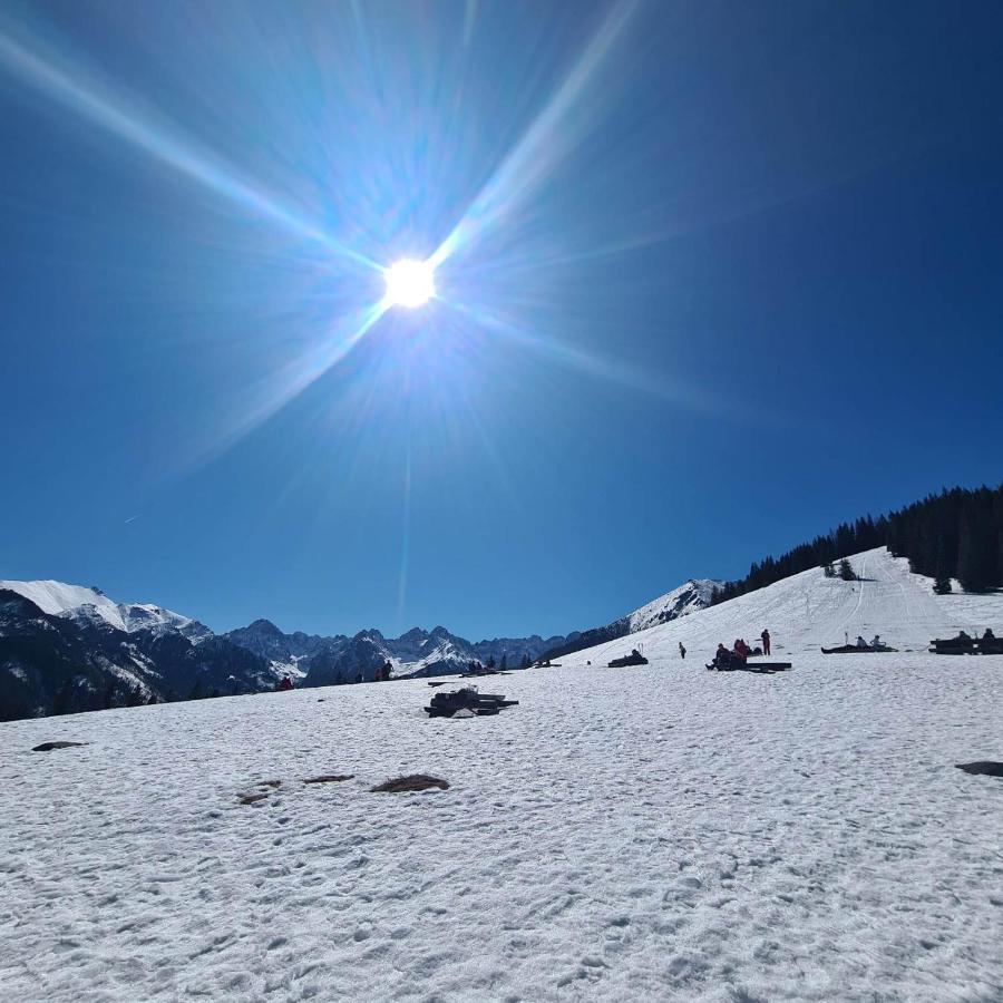 D.W Teresa Villa Zakopane Bagian luar foto