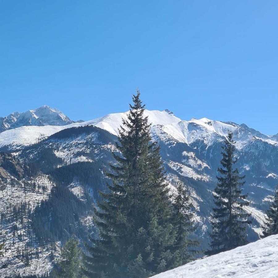 D.W Teresa Villa Zakopane Bagian luar foto